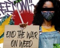 buy weed online, Colorado dispensary shipping worldwide, online dispensary, legit, online dispensary shipping worldwide, buy marijuana online, weed online, online weed dispensary, 420 mail order, online dispensary shipping worldwide reviews, 420 mail order worldwide, online dispensary mail order, buy cannabis online, dispensaries that ship to pa, dispensary that ship to Texas, order weed online, dispensaries that ship to va, how to buy edibles online without a card, marijuana online, canada dispensary worldwide shipping, cannabis online dispensary, weed dispensary online, online dispensaries, mail order medical marijuana, online dispensary shipping worldwide paypal, weed online supplier dispensary, cheap legit online dispensary shipping worldwide, online marijuana dispensary, 420 mail order usa, order marijuana online, order marijuana online, cannabis online, online dispensary fl, where to buy weed online, mail order marijuana, online weed dispensaries, dispensaries that ship to tennessee, marijuana dispensary online, online marijuana dispensaries, marijuana online dispensary